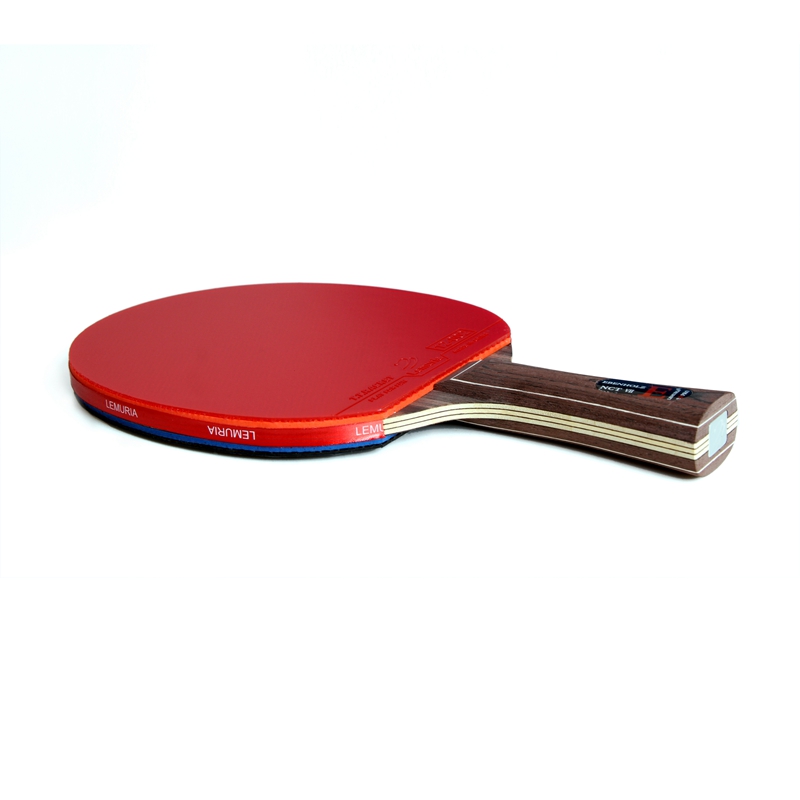 Lemuria EBENHOLZ-Table Tennis  - Desk Setup Tips recension och pris